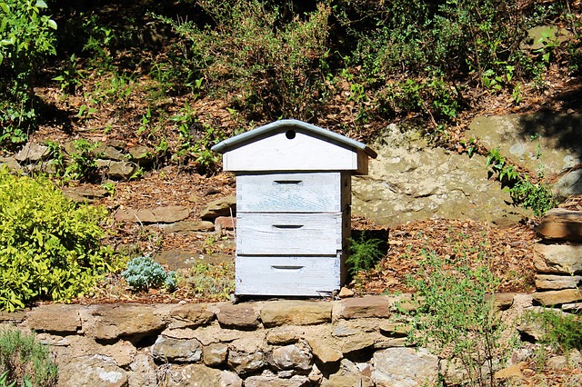 Gehenna pszczelarzy w walce z mordercami pszczół | Pszczoly.eu