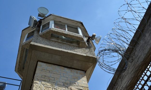 Więzienna pasieka pomaga w resocjalizacji więźniów