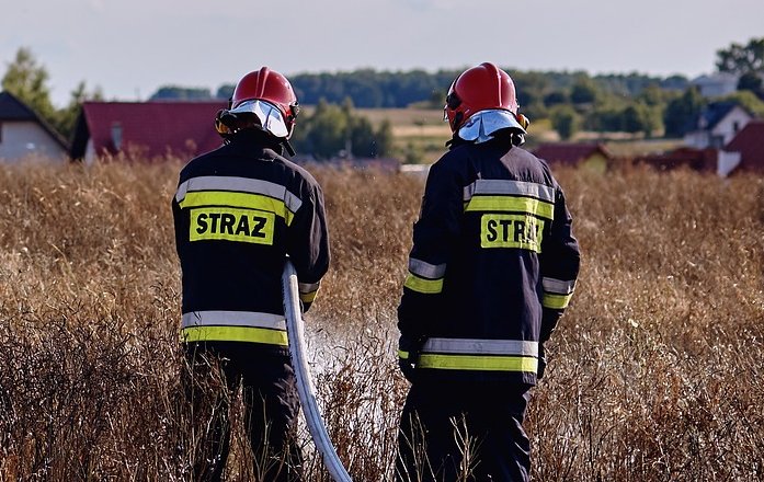Pod Nową Solą spłonęło 36 rodzin pszczelich | Pszczoly.eu
