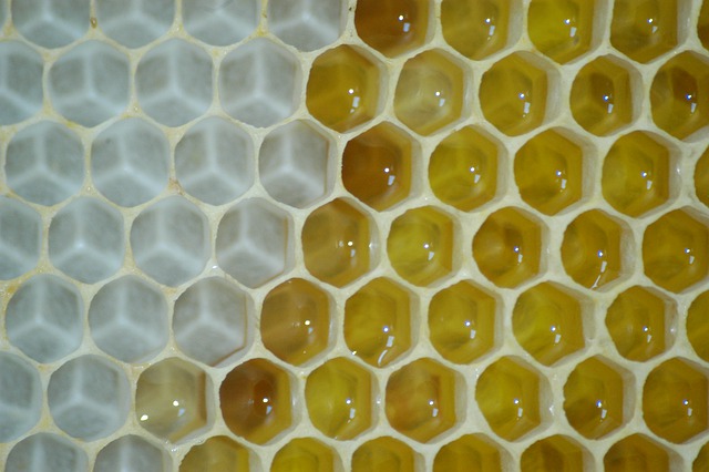 Na UMCS stworzono innowacyjny analizator wosku | Pszczoly.eu