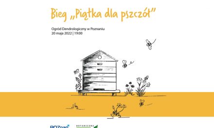 Światowy Dzień Pszczół w Poznaniu