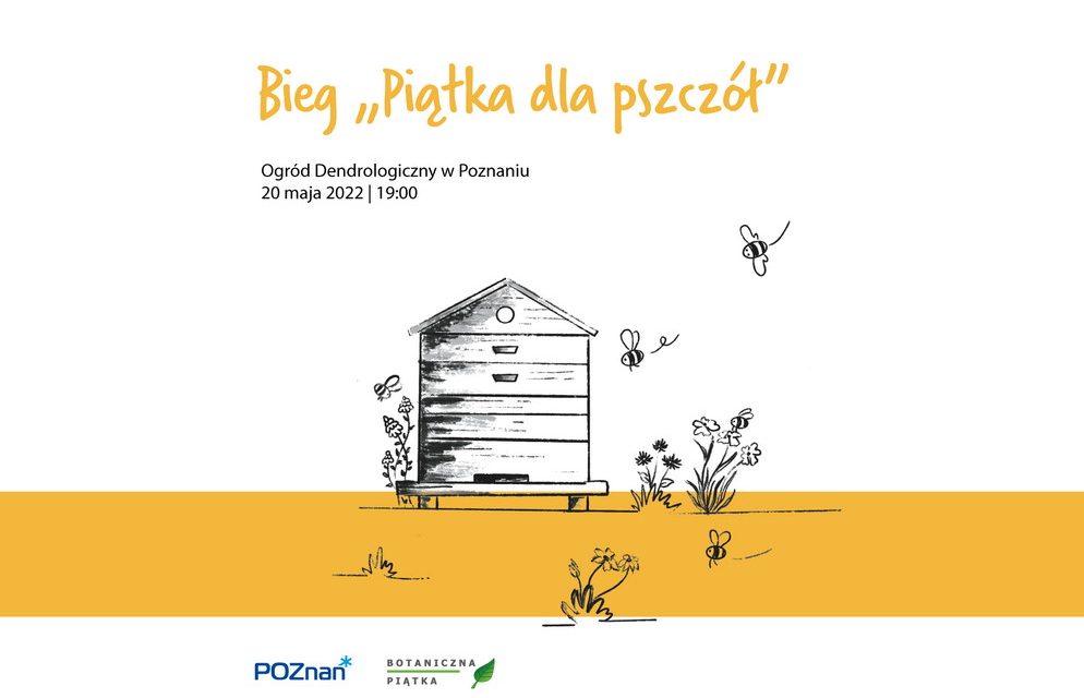 Światowy Dzień Pszczół w Poznaniu