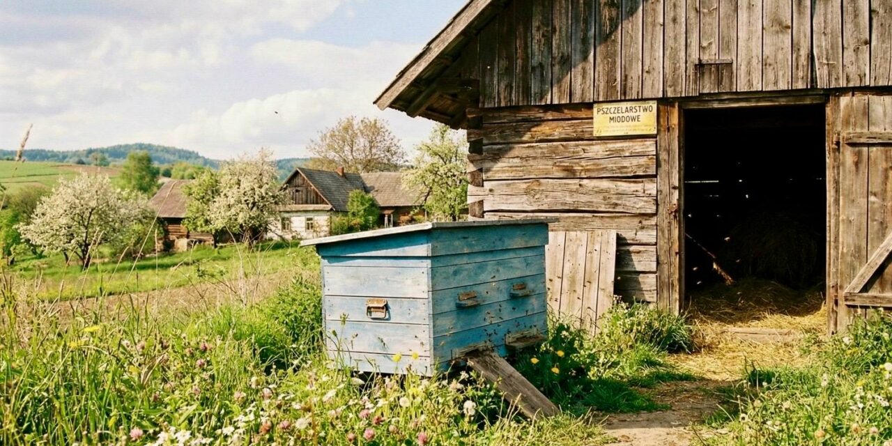 Rewolucja w przepisach weterynaryjnych: Co pszczelarz musi wiedzieć w 2026 roku?