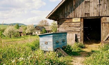 Rewolucja w przepisach weterynaryjnych: Co pszczelarz musi wiedzieć w 2026 roku?