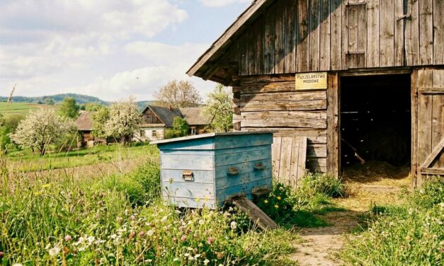 Rewolucja w przepisach weterynaryjnych: Co pszczelarz musi wiedzieć w 2026 roku?